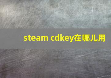 steam cdkey在哪儿用